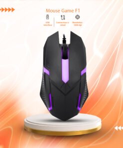 Mouse Game F1