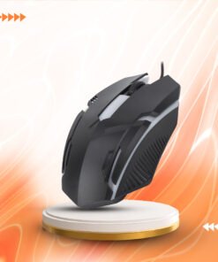 Mouse Game F1