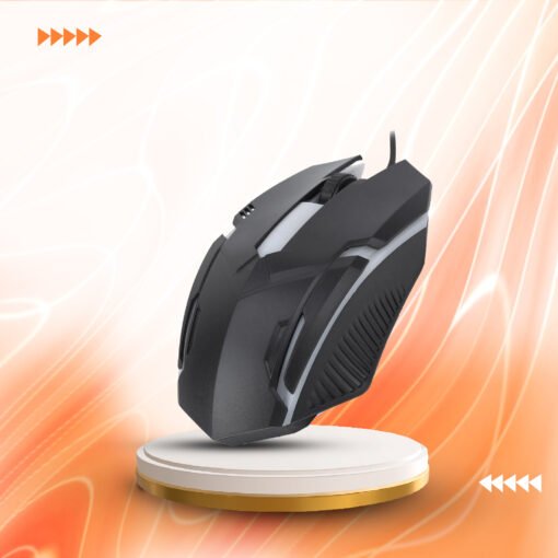 Mouse Game F1