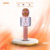 Microphone kTV WS-858