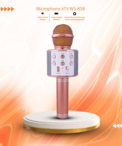 Microphone kTV WS-858